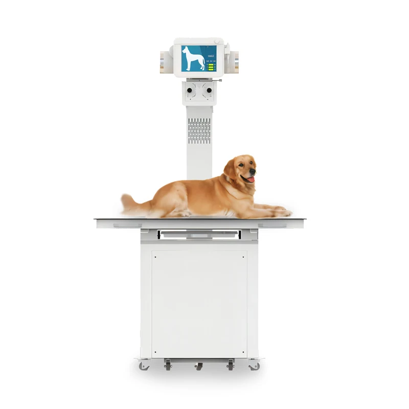 RC-MAX01  20KW, 200MA good quality veterinary x ray machine , vet x ray