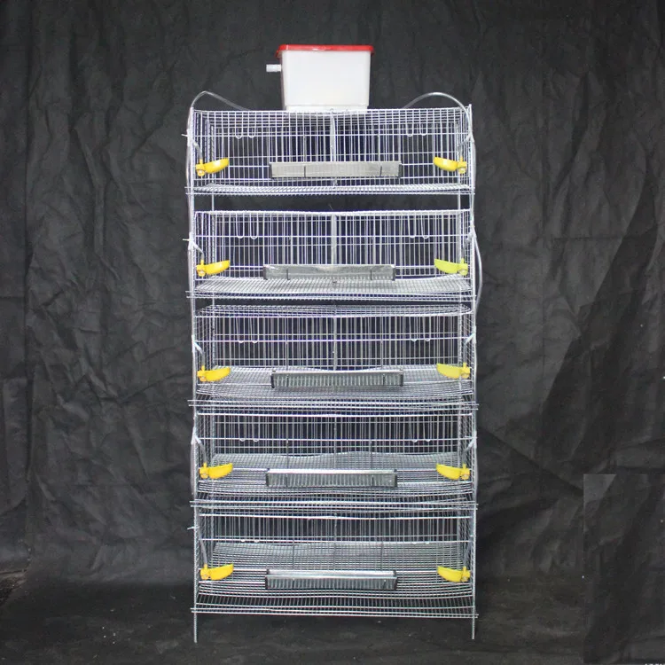 H type 6 tiers 288 capacity quail cage with drinking feeding system wire mesh cage galvanized quail cage