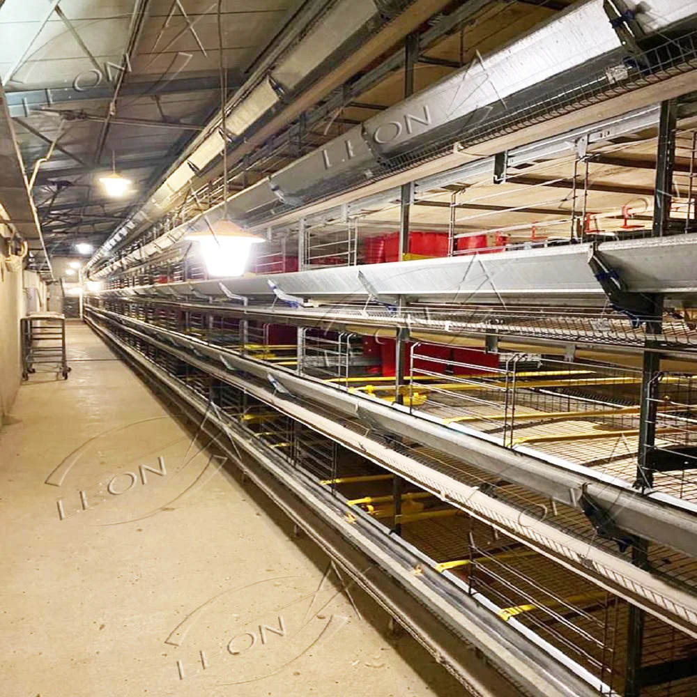 Hot Sale Modern Design H  Type Layer Birds Cages for Big Birds