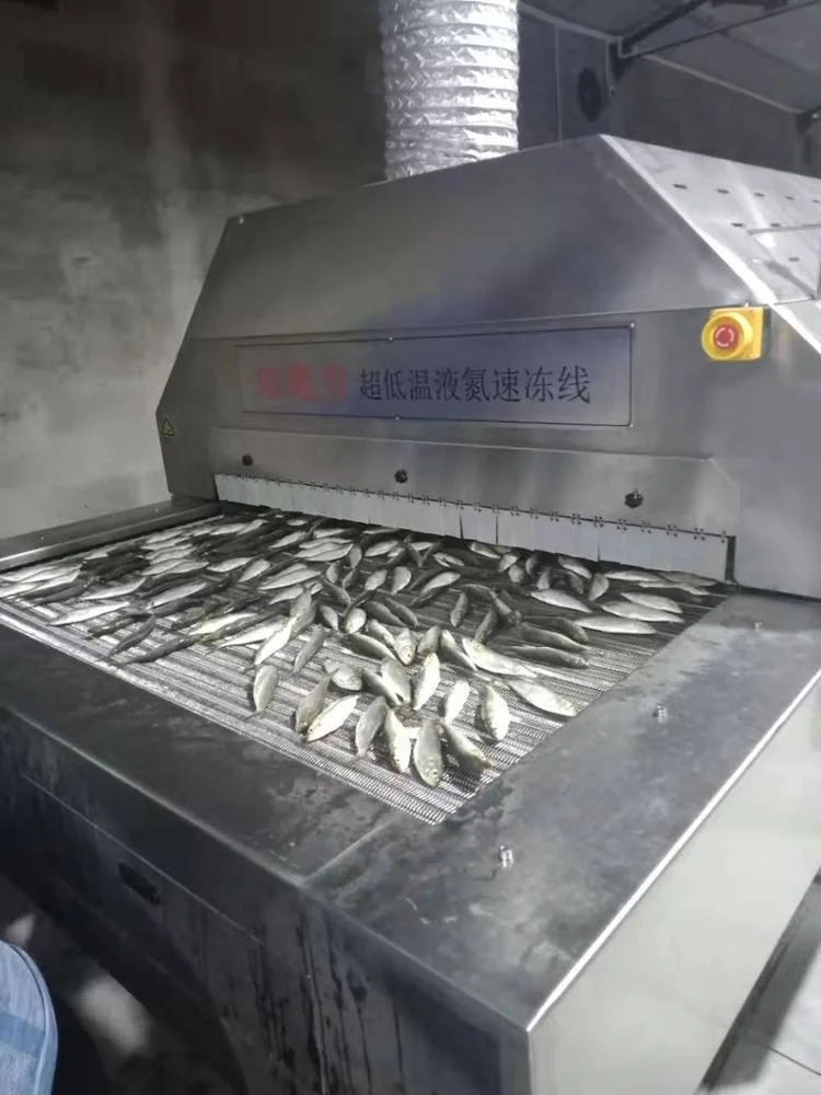 DJL fish shock tunnel freezer for quick freezing  factory blast freezer  ultra low temperature freezer