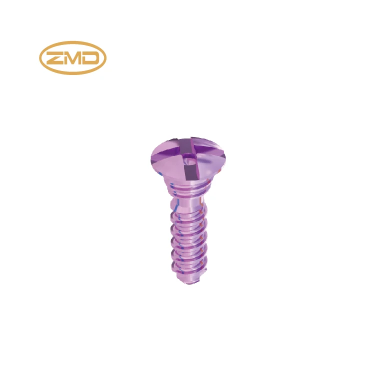 Orthopedic implant Self-drilling Screw titanium plates screw
