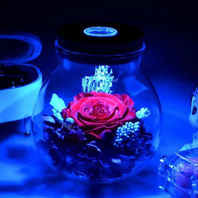 Yunnan Factory direct Wishing bot Preserved Natural rose Flowers in the glass high quality hot sale