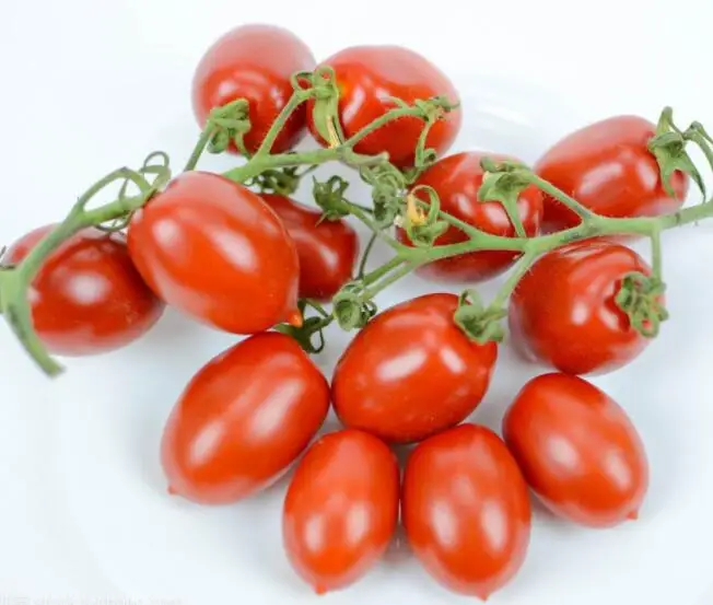 hybrid Chinese Factory plum red cherry tomato seeds for planting