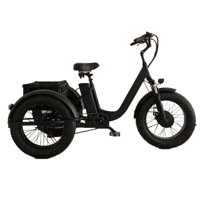 2024 Retro Foreign 24 Inch Snow Beach Wide Tire ElectricTricycle Lithium Electric Bicycle