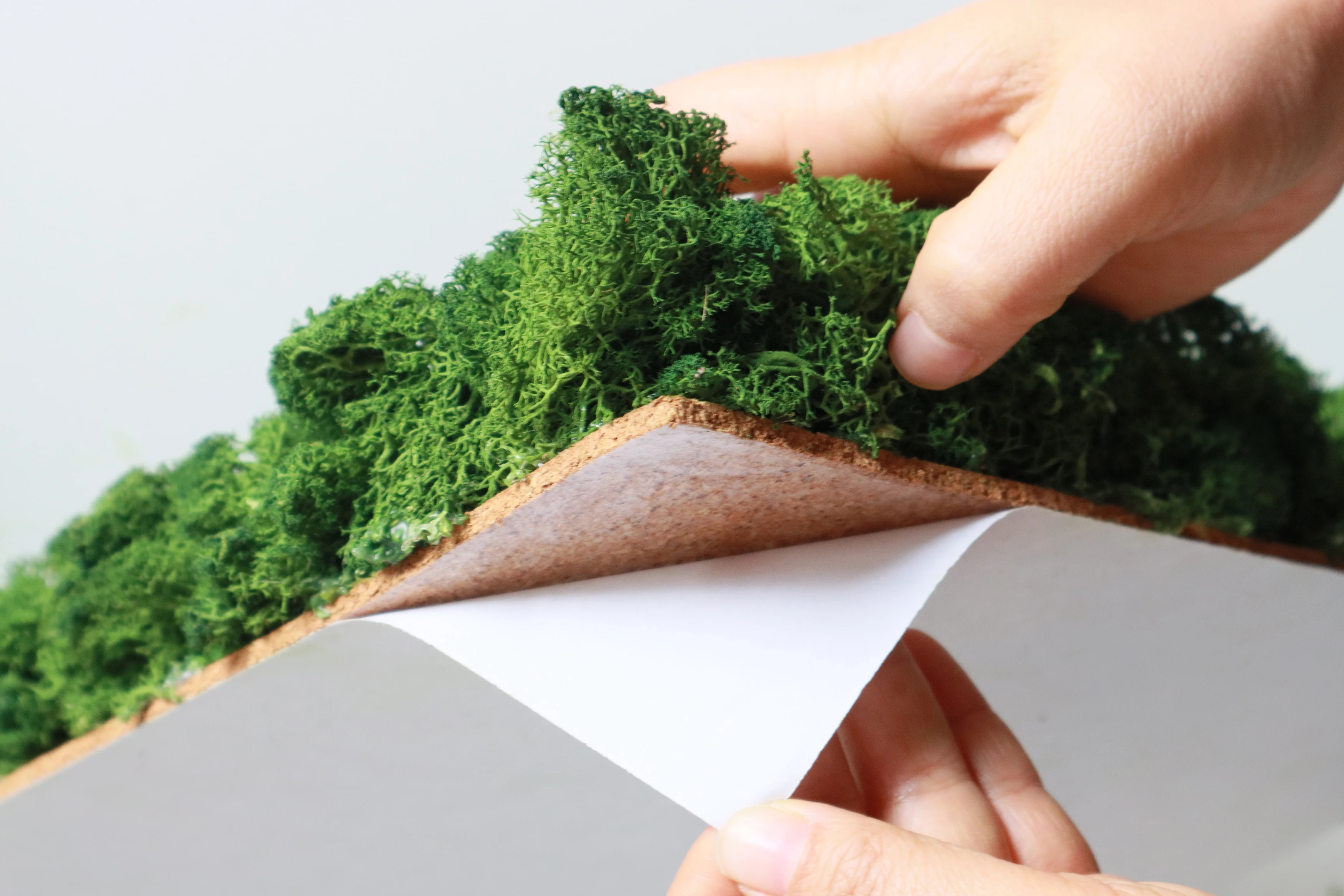 factory wholesale preserved moss sheets moss wall art natural real preserved moss panel for wall home office mall decoration