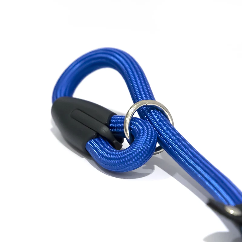 Waterproof British-style Slip Lead Rope Dog Leash No Pull Training Rope Lead Leashes