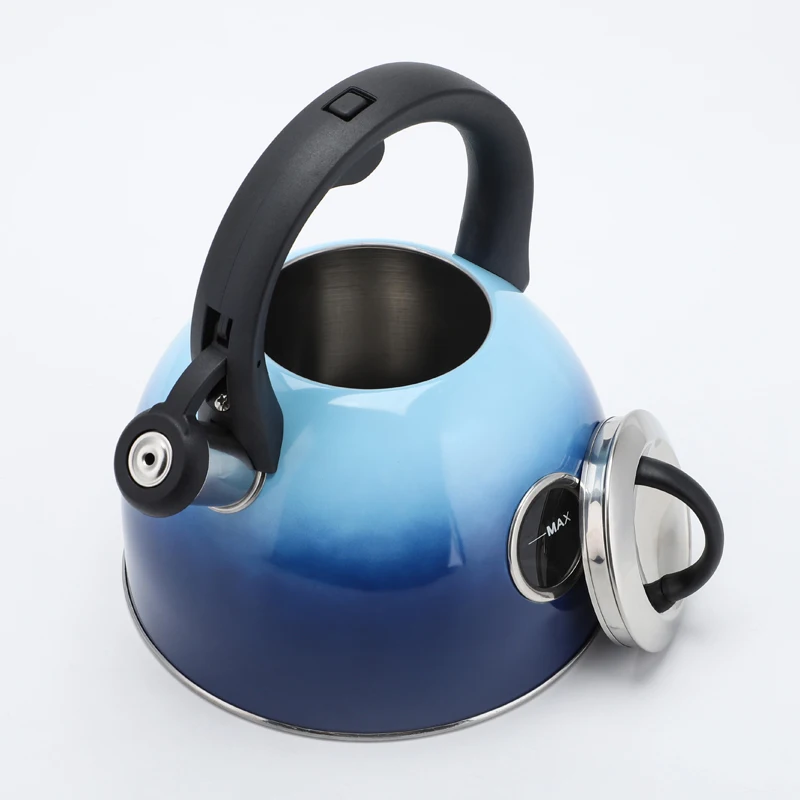 Blue Whistling Kettle Stove Top Tea Pot Stainless Steel 2.5L 2.6QT Whistling Tea Kettle