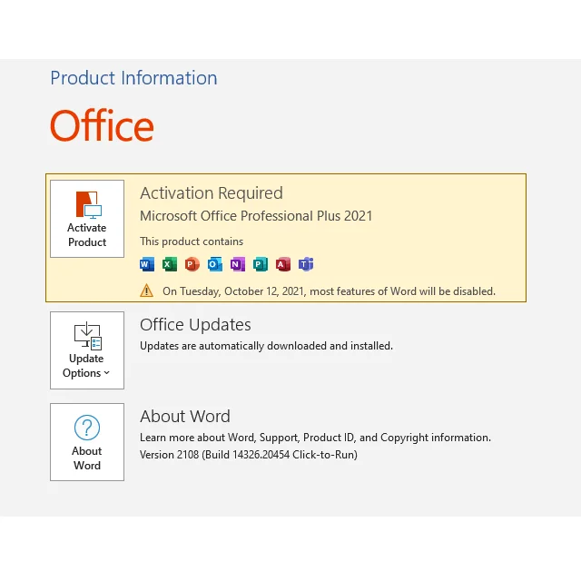 Office 2021 Professional Plus лицензионный ключ office PP связной для Win отправляется по электронной