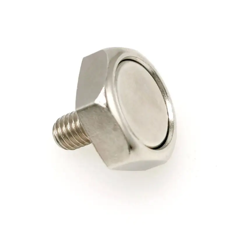 Factory Stock Custom M3 M5 M6 M8 M10 M12 M16 Stainless Steel  Magnetic Hex Nut And Bolt Manufacturers