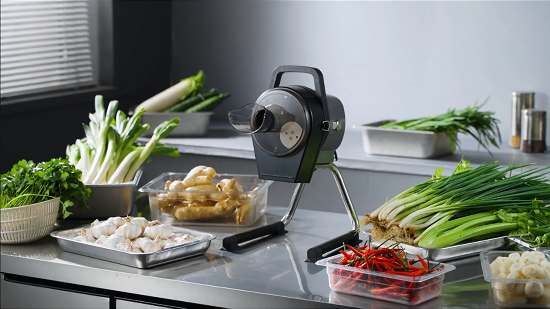 2024 New Arrival Restaurant vegetable chopper, DC 200W, Desktop Multi-Purpose Vegetable Cutter Small Vegetable Dicing Machine