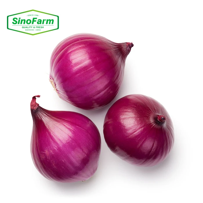 Delicious Vegetables 3-5cm Small Size Red Onion Shallot