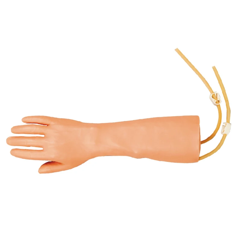 Medical sience Injectable Training Arm Model, Vein Injection Practice Multi-Functional IV Training Arm Model
