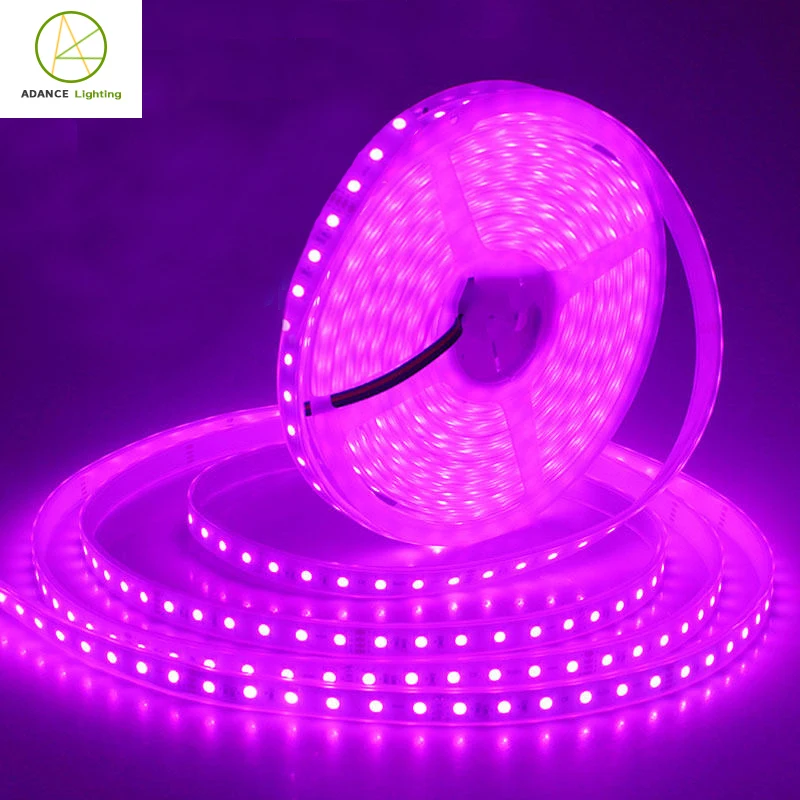 12V Drip tape Super Bright  5050 SMD 300LED IP65 Waterproof RGB LED Strip