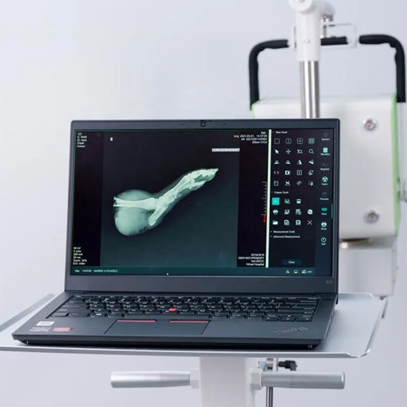 YSX050-C 5.0kW 100mA Vet X-Ray Equipment Mobile and Portable Bracket Digital Veterinary X-ray Unit