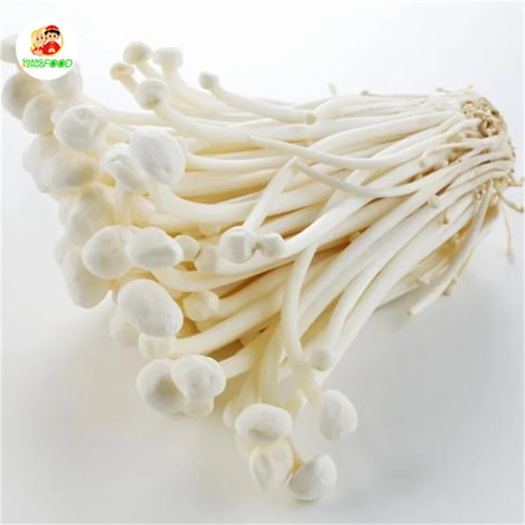 Wholesale mushroom enoki high quality fresh enoki mushroom from China