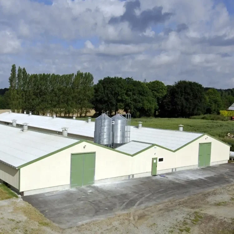 Тканевое покрытие сборные стальные конструкции здания механизированное Птицеводство