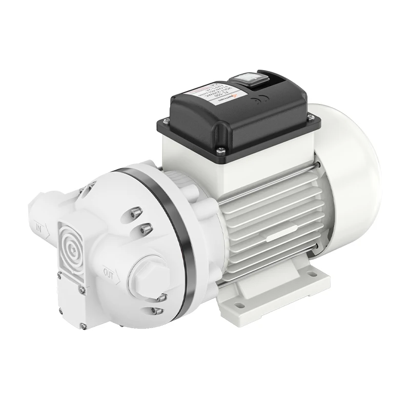 Cavitt 110V/220V Automatic Chemical Nitric Acid Pump Portable Fuel Pump Strong Acid And Alkali Resistant Chemical Pump