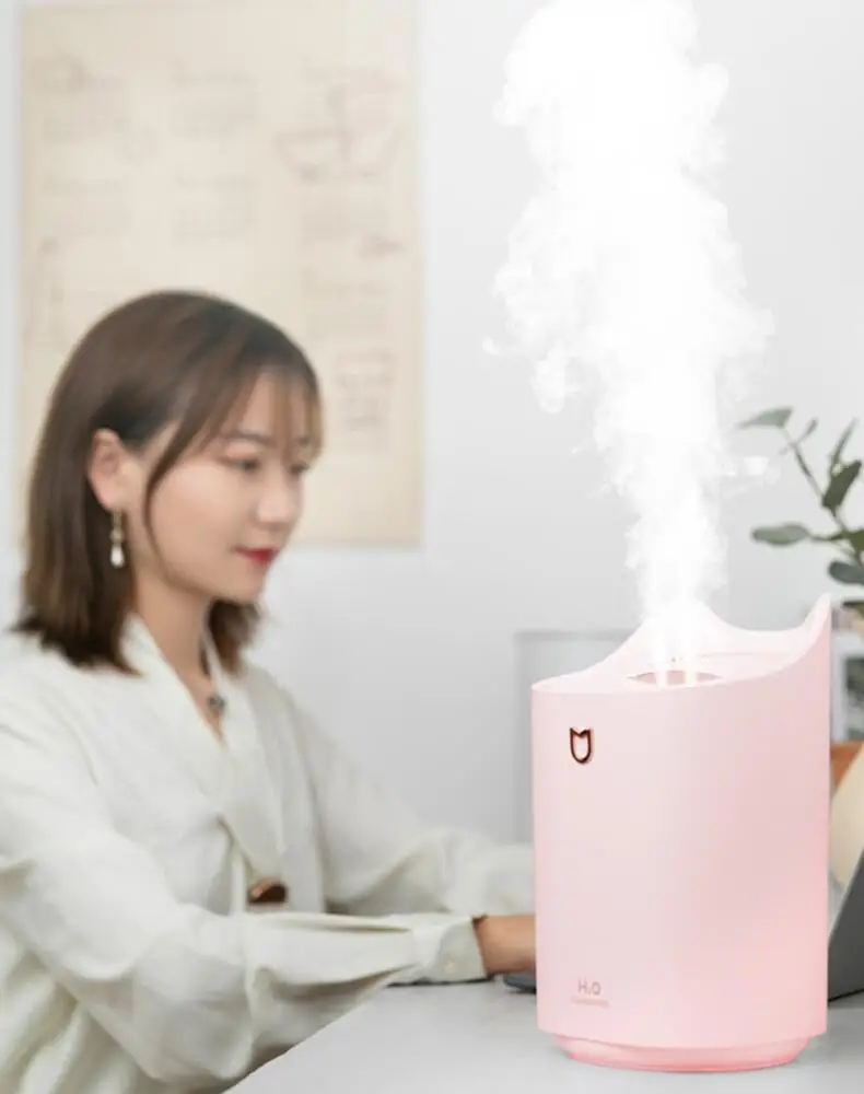 Humidifier (1)