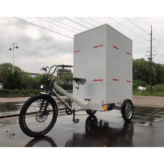 500W ESTER Electric Cargo Delivery Trike China Manufacturer Customized, aluminum box