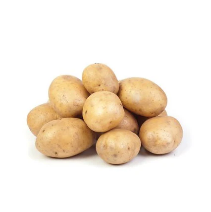 Manufacturers China wholesale fresh commercial potato sweet potato