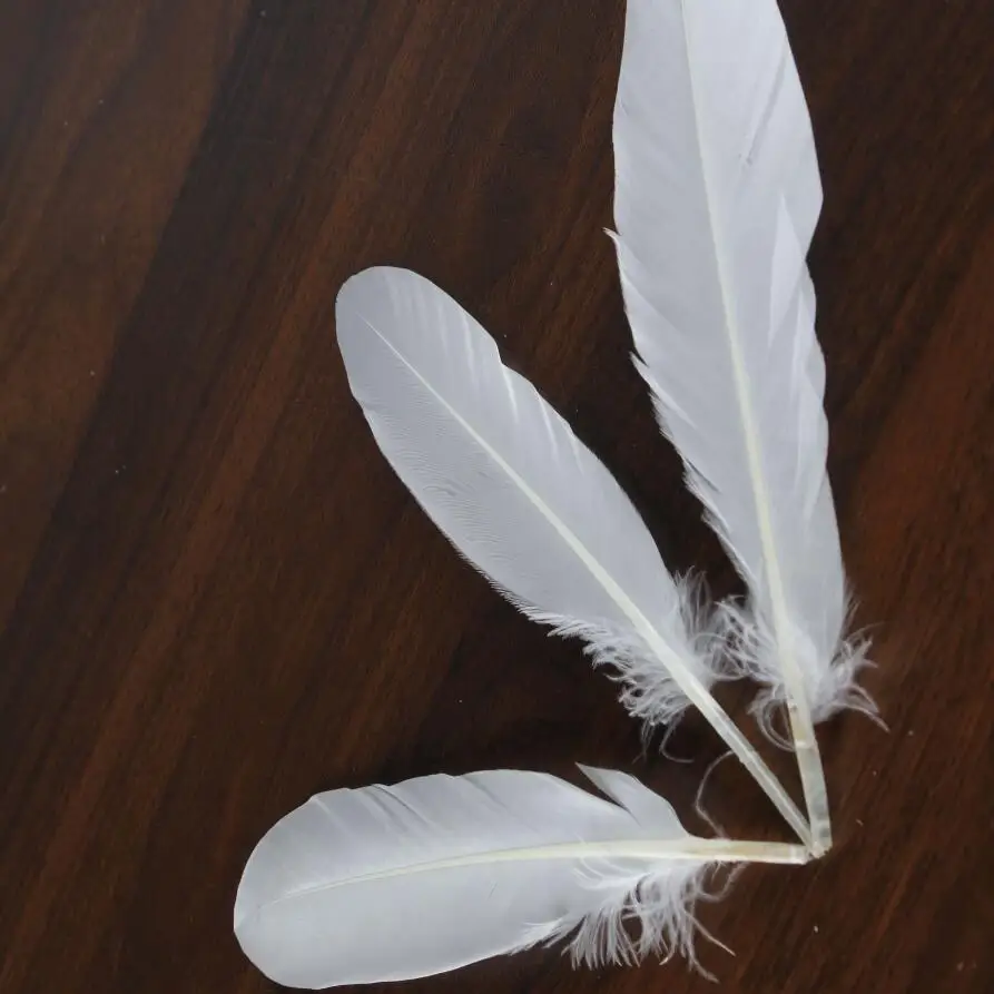 Bulk soft white duck feather China Feather Manufacturer Direct Sale Indonesia Curved Feathers