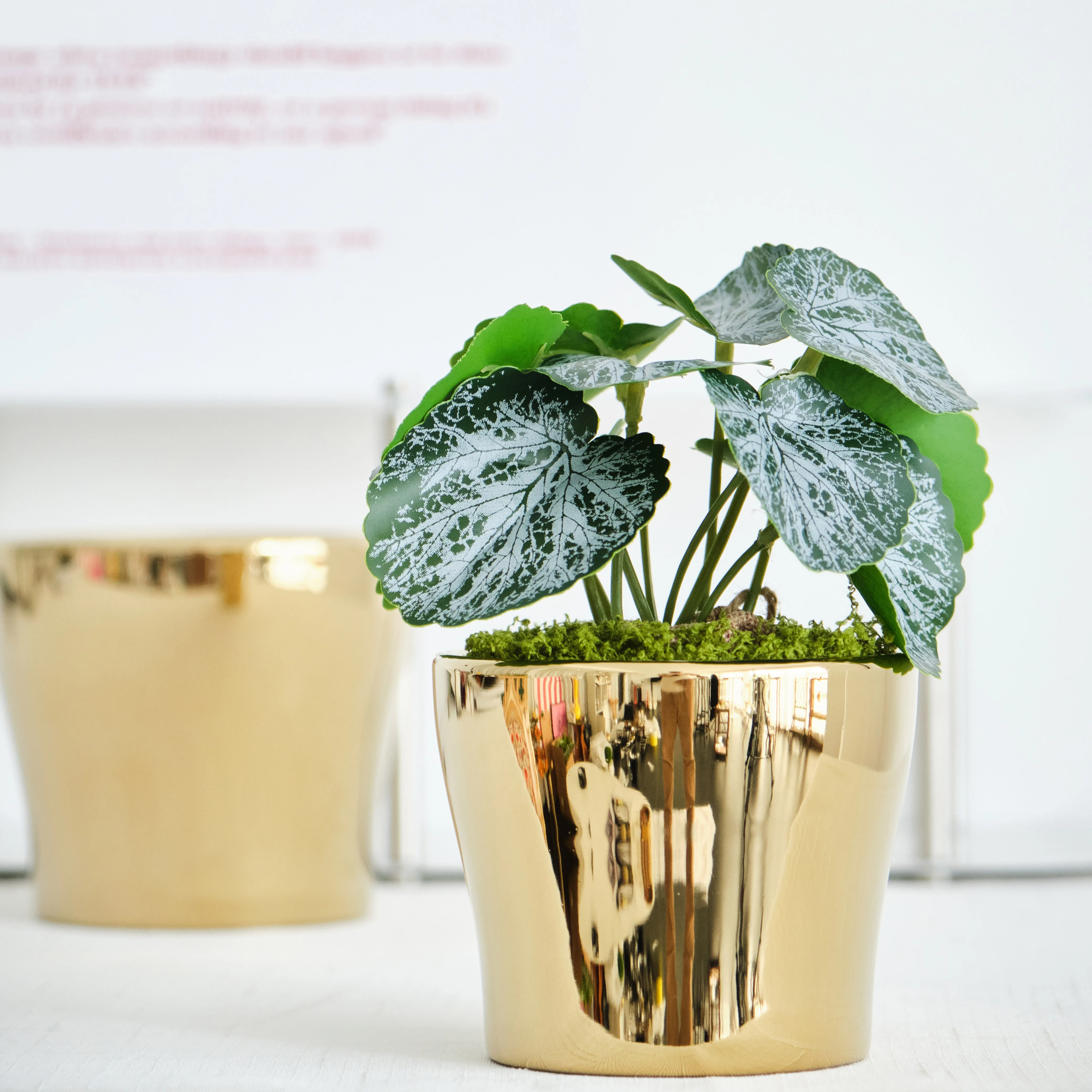 Wholesale Custom Services Modern Design home decoration Golden Flower pot garden Ceramic flower pots