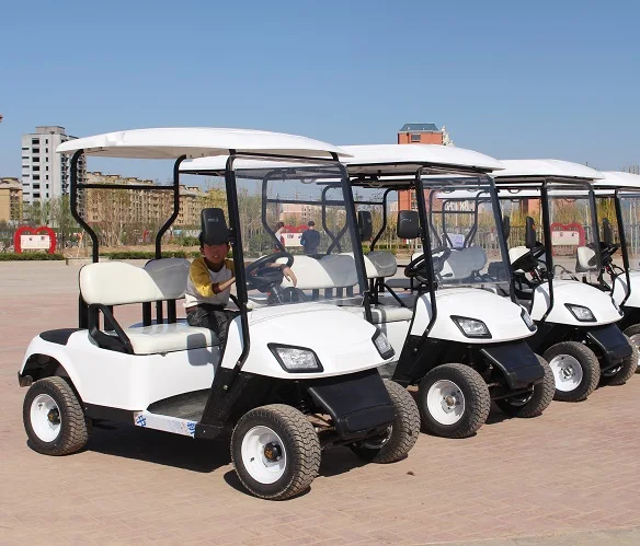 Electric golf cart 2 seats 30km/h