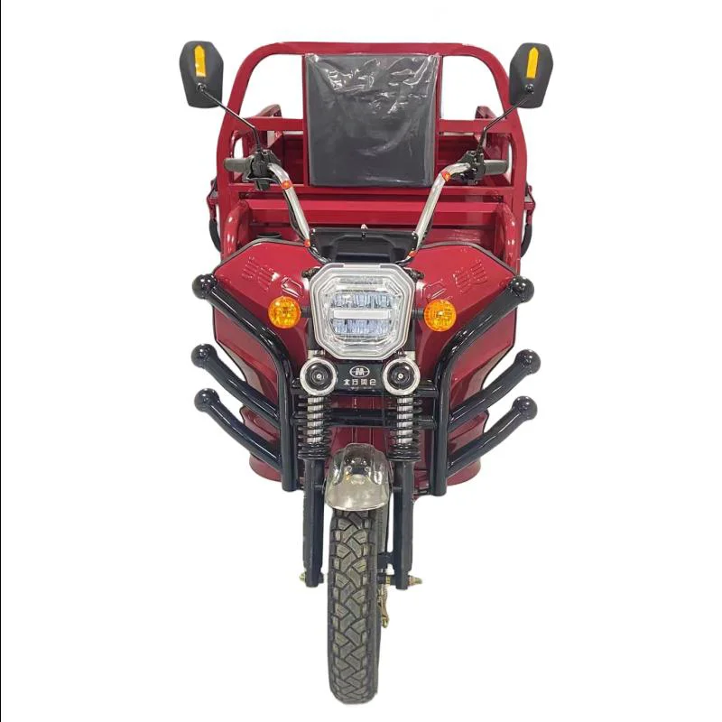 EEC Сертифицированный 200300cc Электрический грузовой трехколесный велосипед fueleicent экологически высокопроизводительный автомобиль