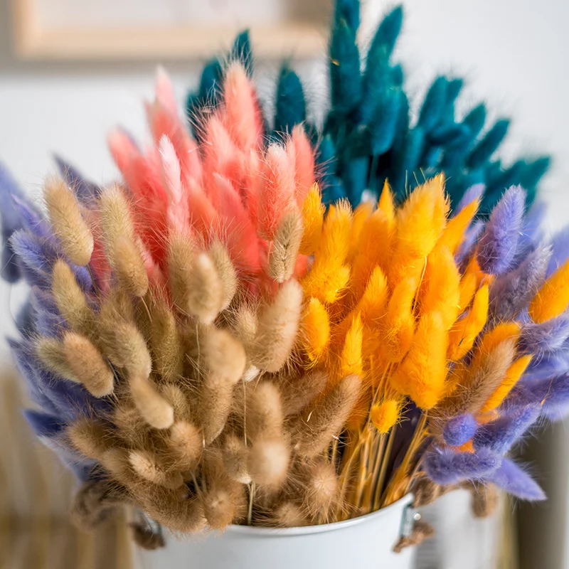 instagram hot decor flower high quality dry flower lagurus for floral arrangement Rabbit tail herb
