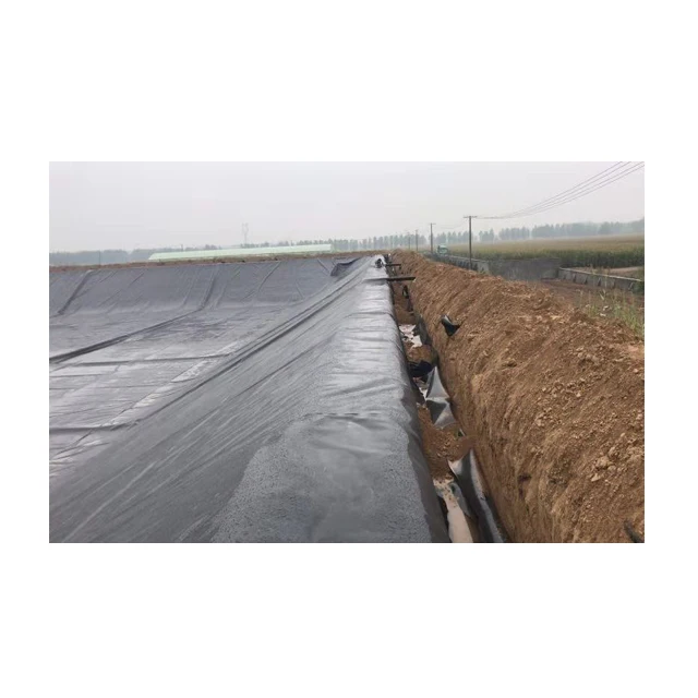 Mining landfill dam plastic sheet membrane lake farm fish tank film pond liner 0.5mm 1.5mm 2mm thickness hdpe Geomembrane