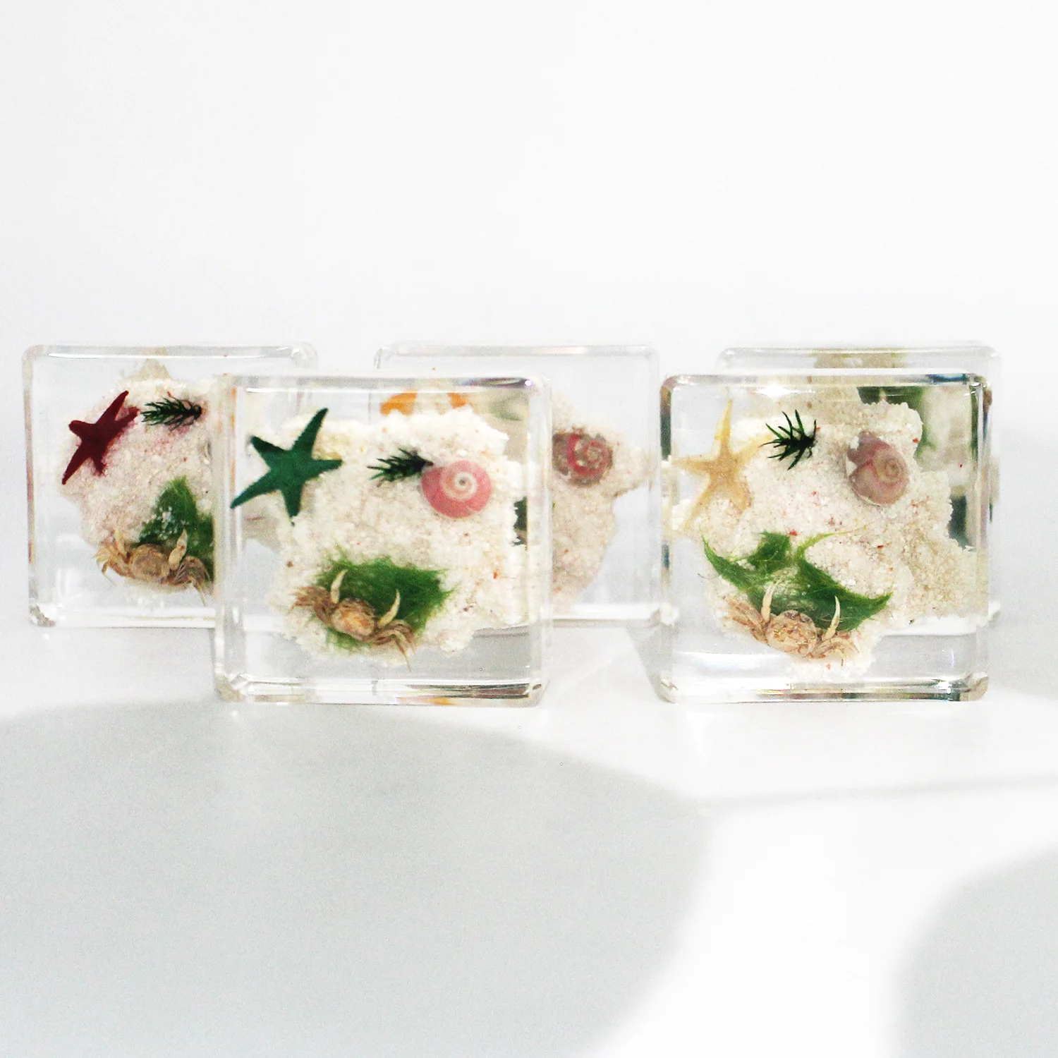 Polyresin crab starfish sea shells resin specimen sea shell decoration beach souvenir table decor