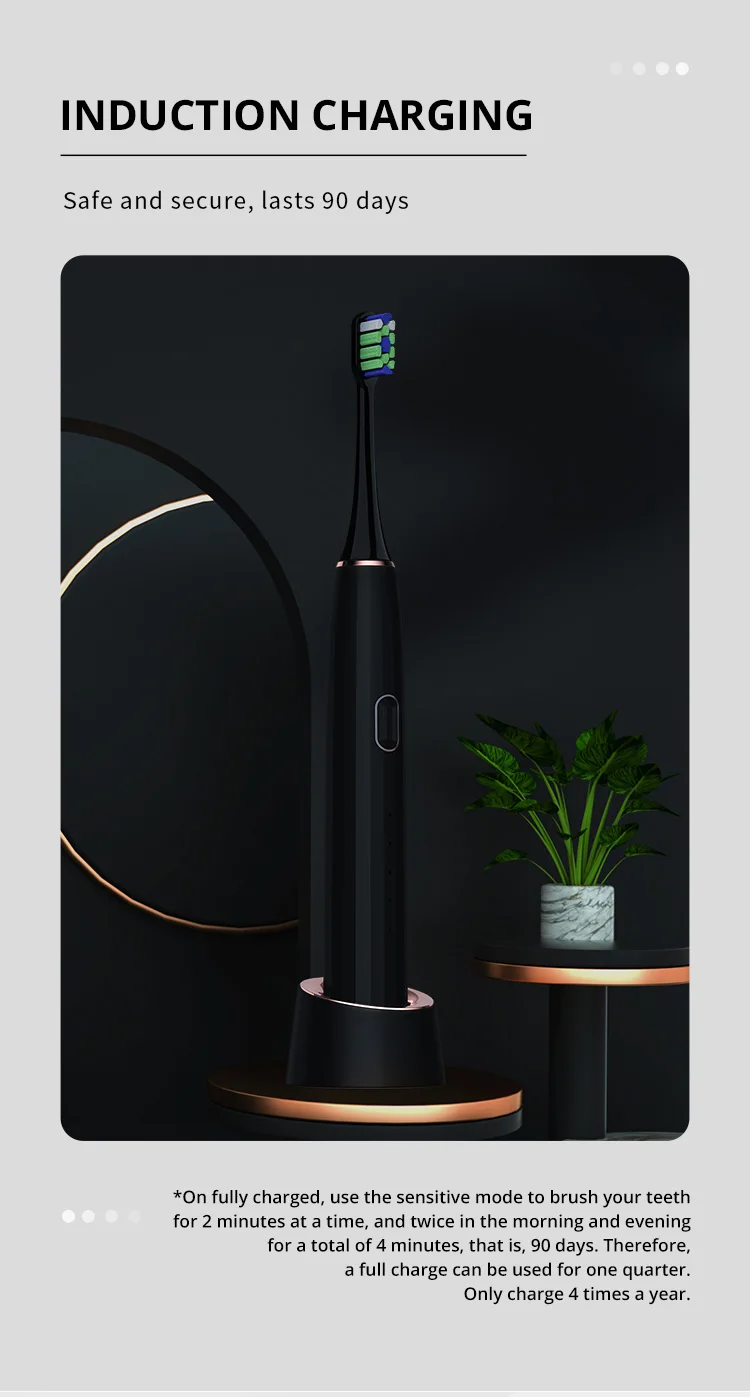 Home Use Travel Rechargeable Automatic Smart Adult Electric Sonic Toothbrush For Adult Group