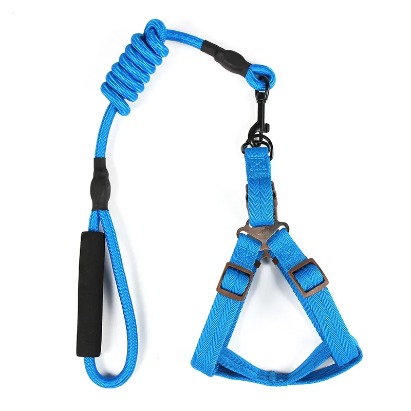 Dog  leash R007