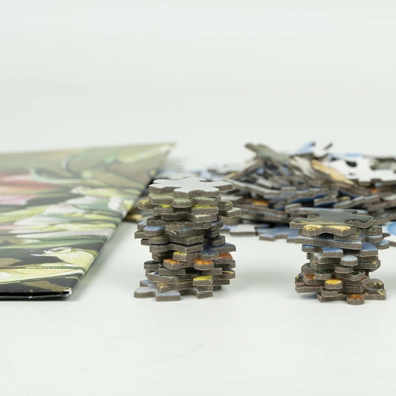 Designs Adults Puzzle Game Toys1000 Pieces Jigsaw Puzzle