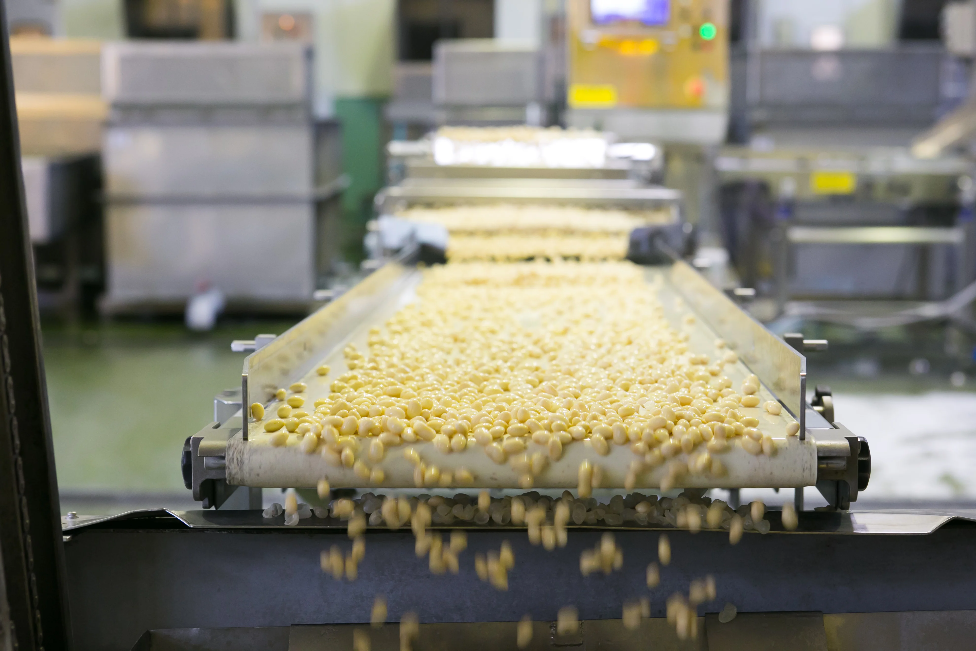 Rich in fiber cholesterol free production protein soybean soya bean