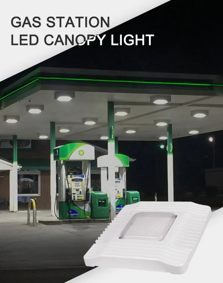 B- canopy light (1).jpg