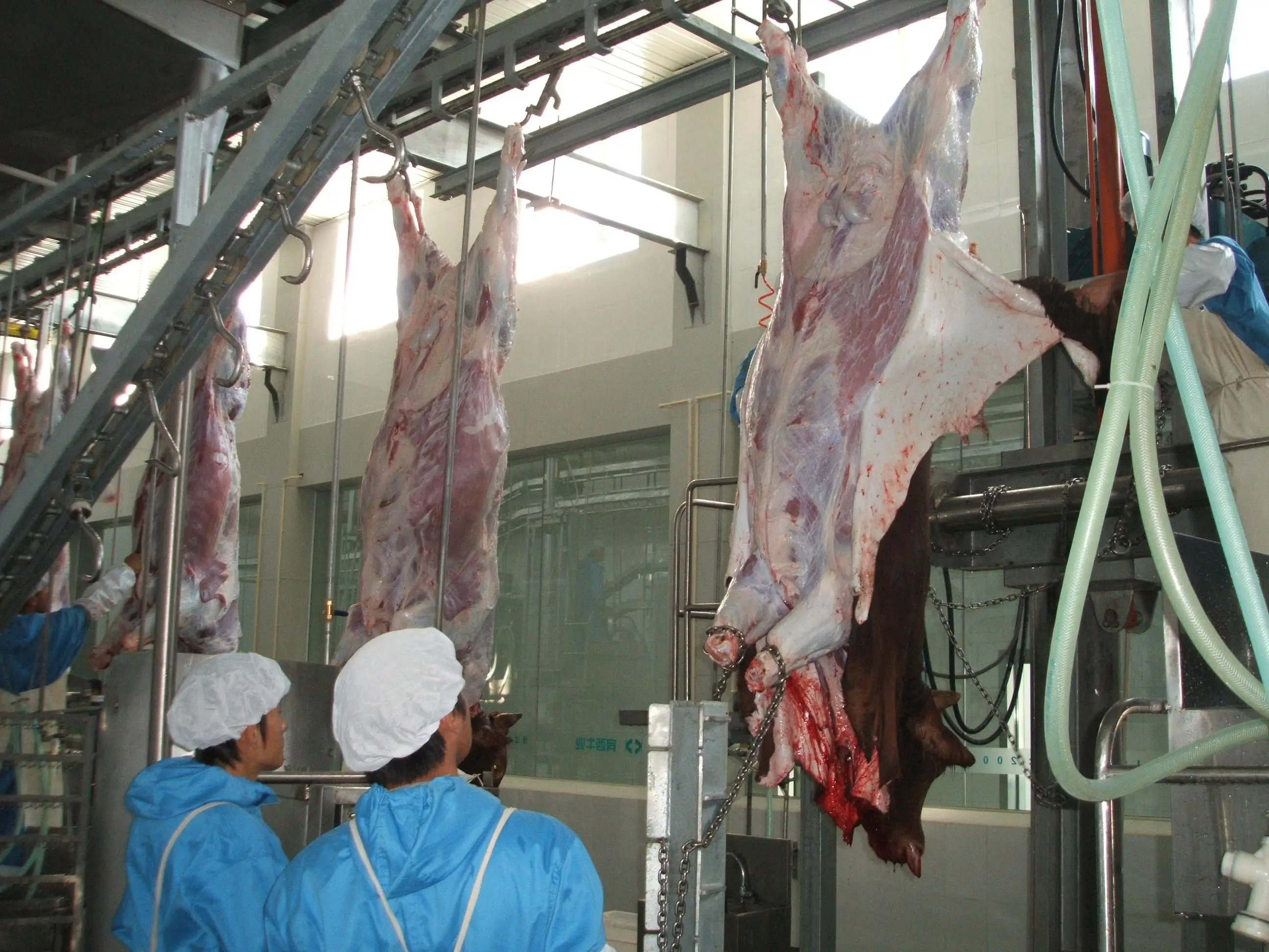 Top Quality Halal Killing Machine Cattle Abattoir Slaughtering Equipment for Slaughterhouse Slaughtering Machine Stainless Steel