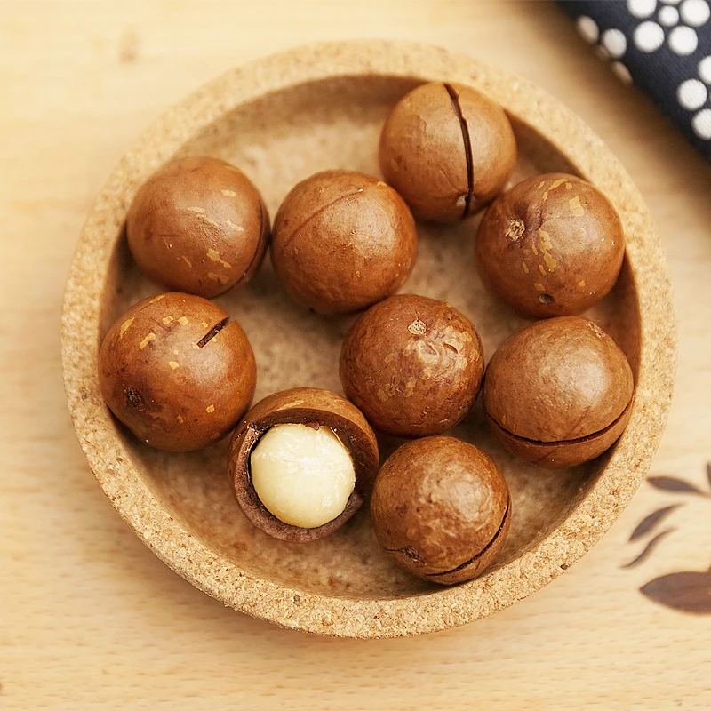 Factory Bulk Wholesale Price Roasted Creamy Raw Macadamia Nuts Roasted in Shell
