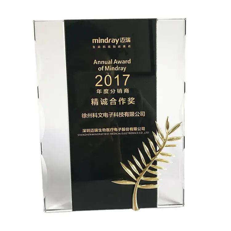 Сертификат шаблон щита прозрачный черный хрустальный стеклянный трафарет награда