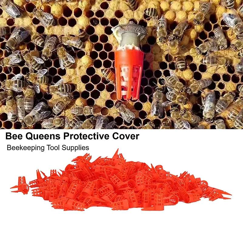 Beekeeping supplies 50pcs Queen Rearing Queen bee cage, Plastic Bee Protective Cover