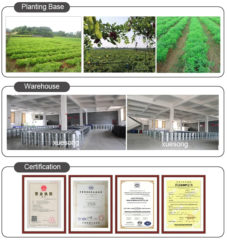 100% Pure and Organic Natural Plant Extract Tamanu Seed Oil Foraha