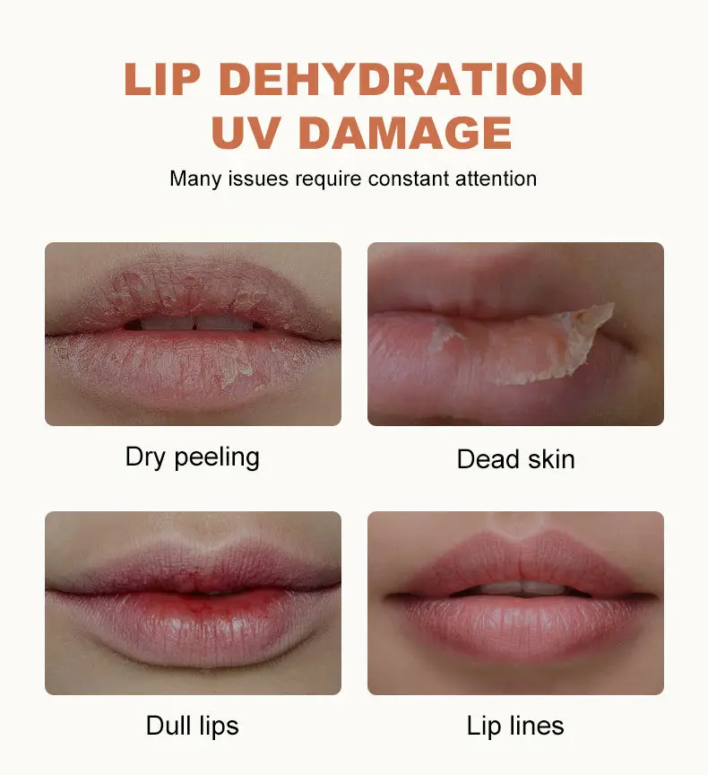 Long Lasting Aloe Stem Cells Nourishes Soft Lips Antioxidant Vitamin E Private Label Vegan SPF 30 Lip Balm