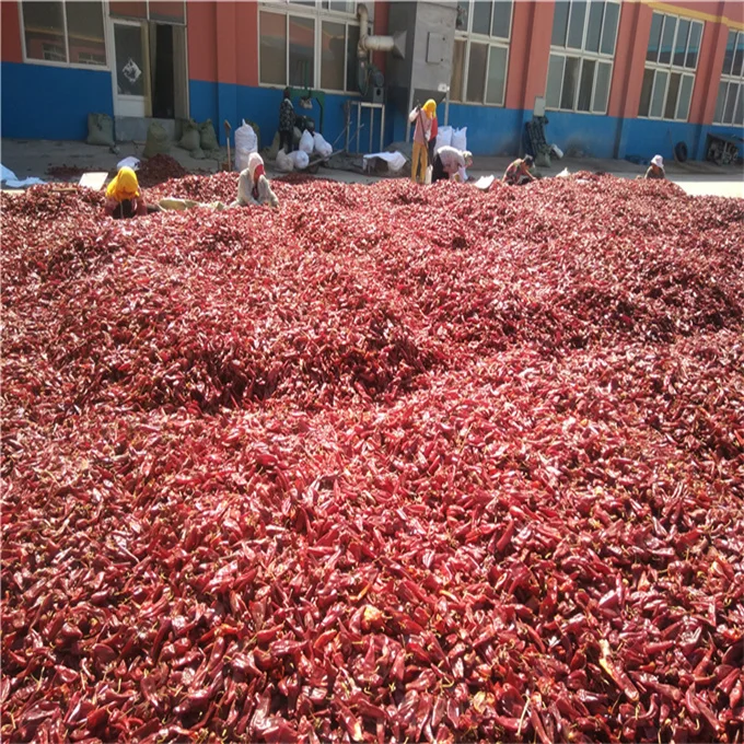 Red Pepper Powder Dried Yidu Red Chili (capsicum) Paprika Powder