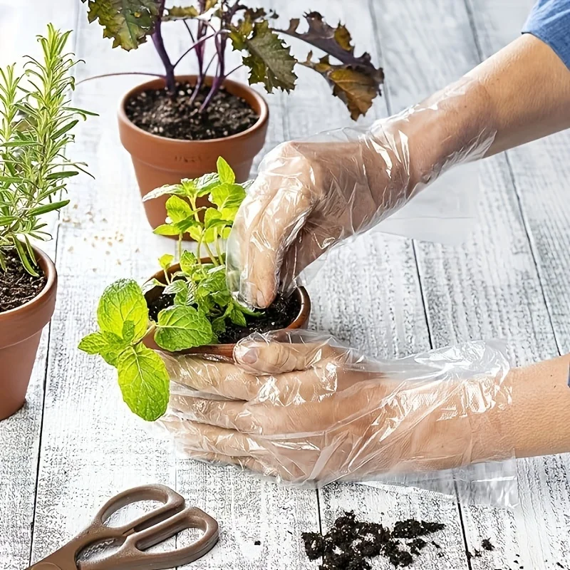 Buy Beauty Skin Exfoliating Bath Scrub Gloves Tpe Hdpe Pe Individual Latex-free Packed Gloves Householdig independent package