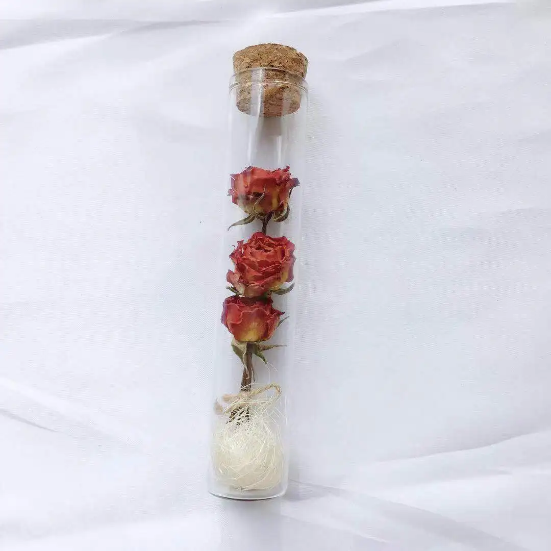 
Wholesale Decorative Flower Rose Jar Dried Rose for Home Decoration 