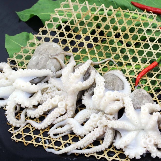 
High quality whole round frozen baby octopus 