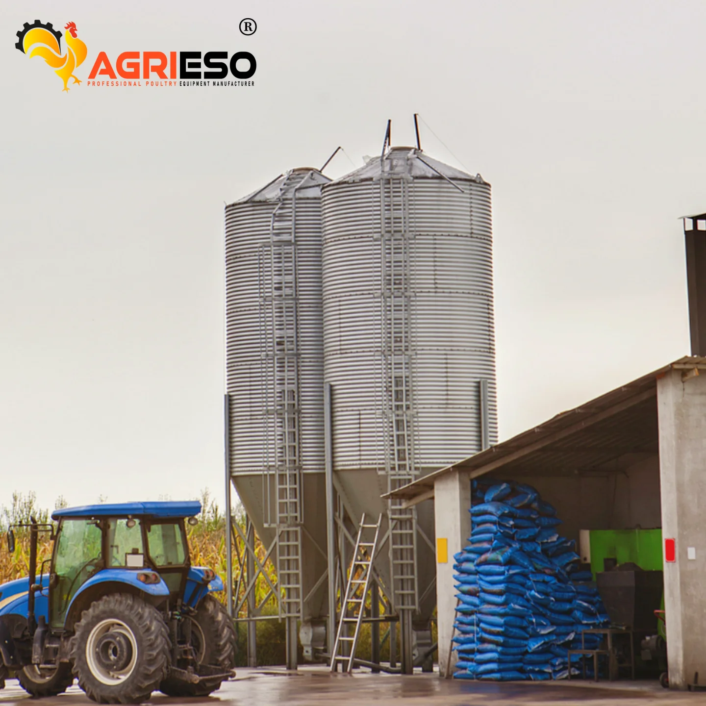 Agrieso AGS36-2 Layer 21.3 Ton High Quality Poultry Farm Chicken Barn Feed Hot Galvanized Fresh Food Keeping Grain Storage Silo
