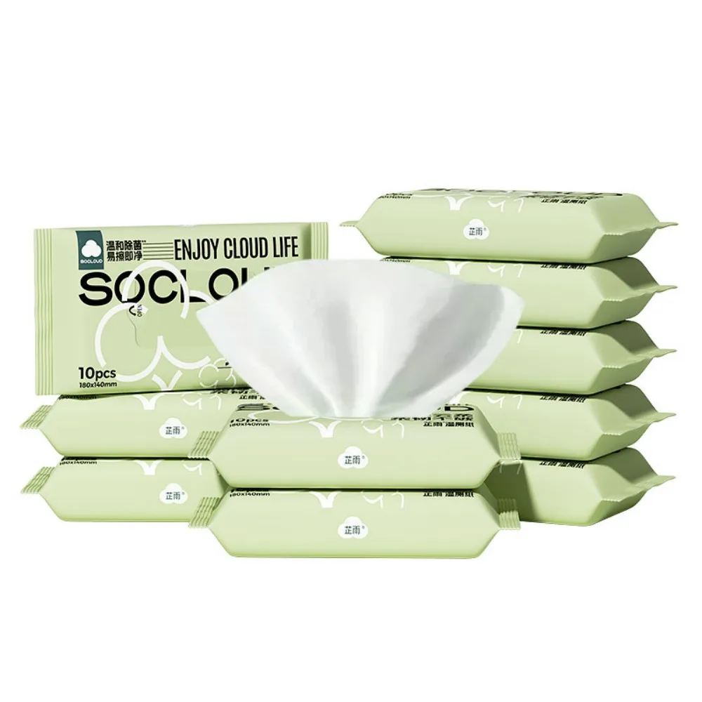 Factory Custom Disposable Baby Adult Antibacterial Cleaning Wet Wipes Flushable Biodegradable Bathroom Toilet Wet Wipes