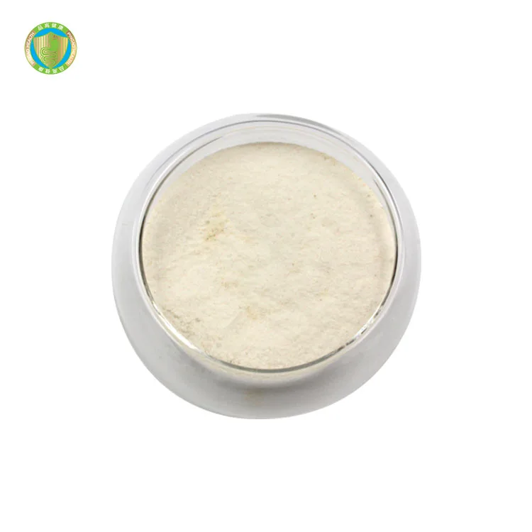 Wholesale Pure Lactobacillus Reuteri Probiotics Powder Good For The Gut