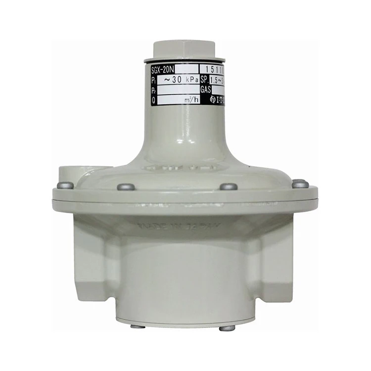 Japanese Industrial Furnace Rego Lv Lpg Gas Pressure Regulator